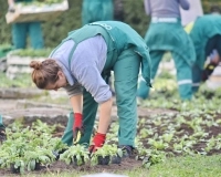 TỔNG QUAN VIỆC LÀM EB-3 NHÂN VIÊN FARM HOA – FLORIDA - KPVISA