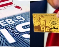 TRUMP GOLD CARD VS. EB-5 – ĐÂU LÀ "BẾN ĐỖ" AN TOÀN NĂM 2026?